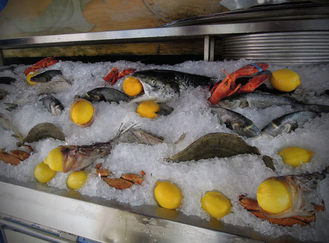 Fresh seafood and fish